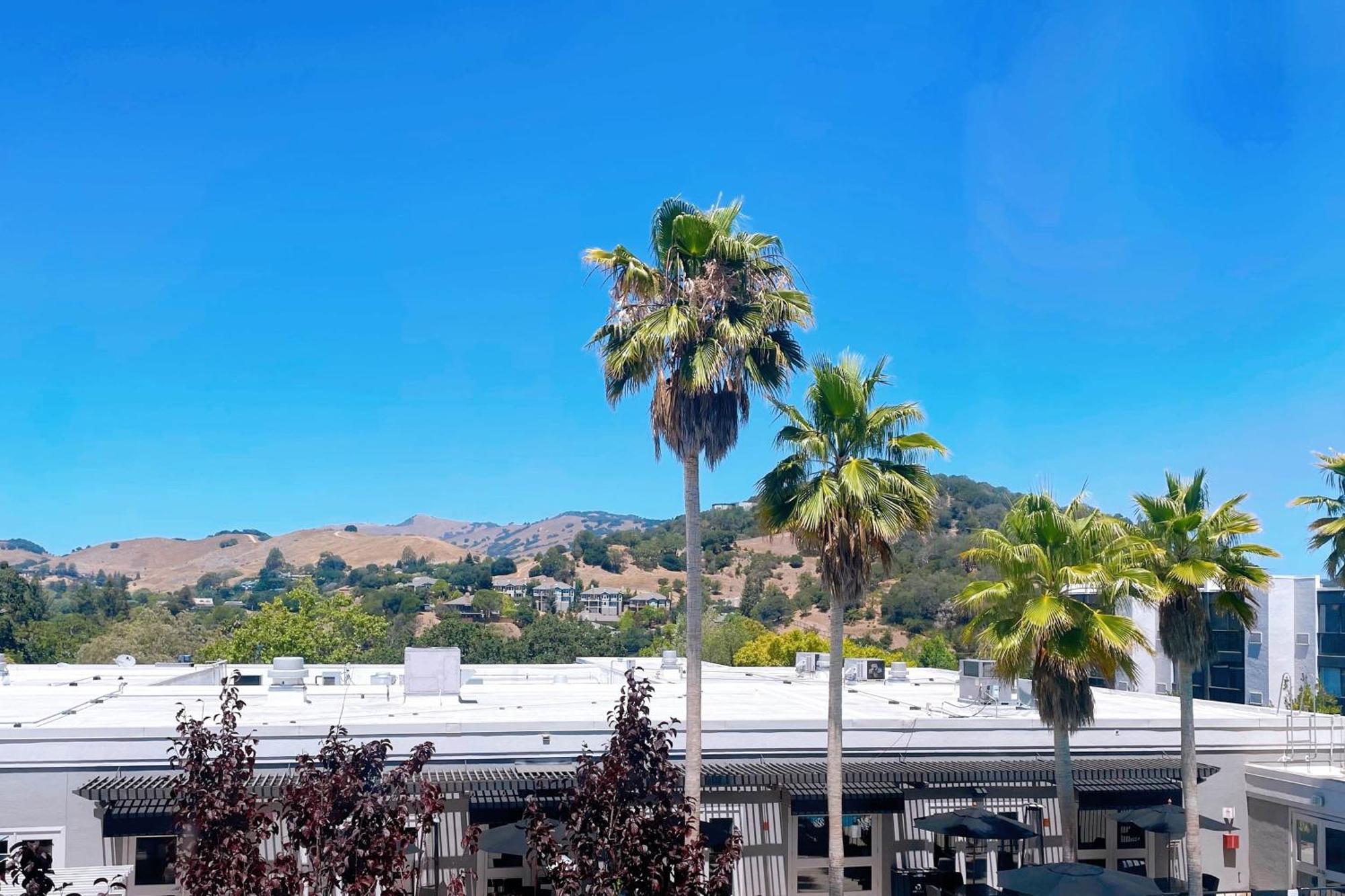 Four Points By Sheraton San Rafael Marin County Εξωτερικό φωτογραφία